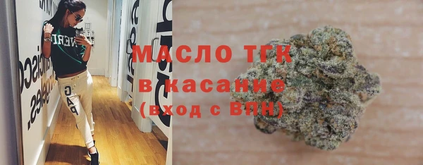 дмт Инта