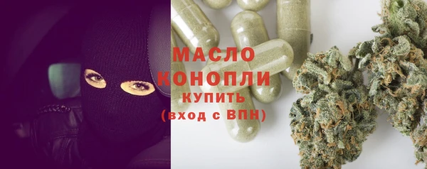 дмт Инта