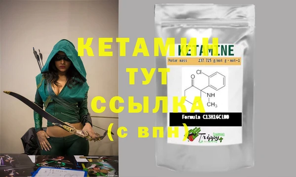 дмт Инта