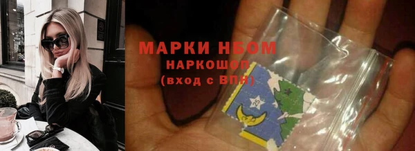 ПСИЛОЦИБИНОВЫЕ ГРИБЫ Инсар