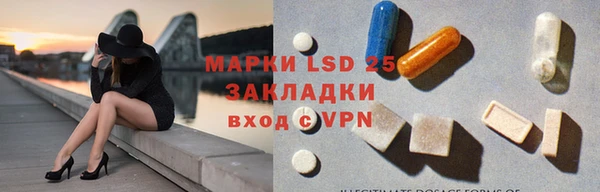 ПСИЛОЦИБИНОВЫЕ ГРИБЫ Инсар