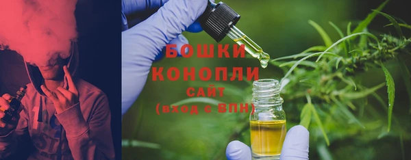 ПСИЛОЦИБИНОВЫЕ ГРИБЫ Инсар