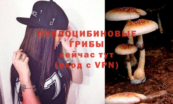 ПСИЛОЦИБИНОВЫЕ ГРИБЫ Инсар