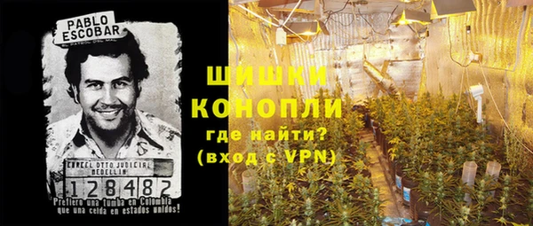 дмт Инта