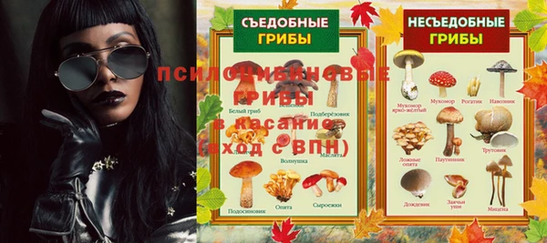 ПСИЛОЦИБИНОВЫЕ ГРИБЫ Инсар