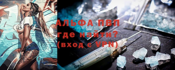ПСИЛОЦИБИНОВЫЕ ГРИБЫ Инсар