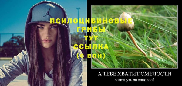apvp Каменск-Шахтинский