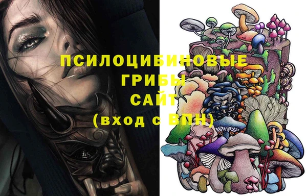 дмт Инта