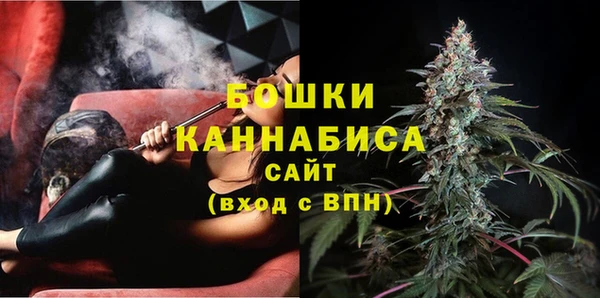 ПСИЛОЦИБИНОВЫЕ ГРИБЫ Иннополис