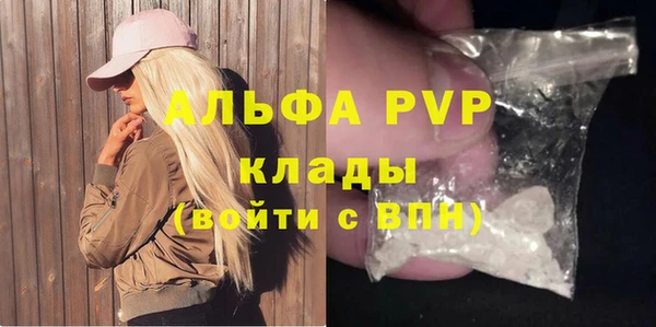 ПСИЛОЦИБИНОВЫЕ ГРИБЫ Инсар