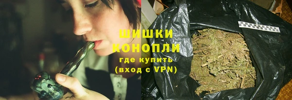 дмт Инта